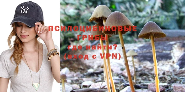 прущая мука Алзамай