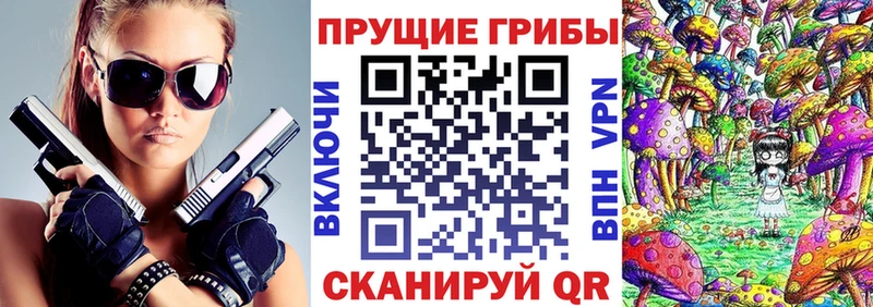 Псилоцибиновые грибы Psilocybe  закладки  Алексин 