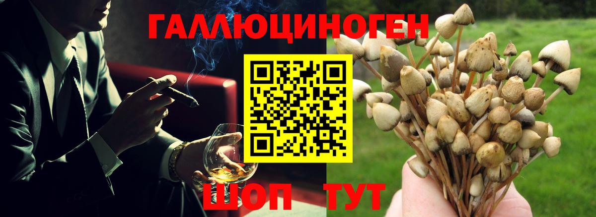 Галлюциногенные грибы ЛСД  Галлюциногенные грибы мицелий  Алексин  Вход с VPN 